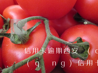 信用卡逾期西安(當(dāng)前逾期申請(qǐng)信用卡)