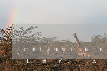 信用卡逾期要上戶籍單位走訪(信用卡逾期要上戶籍單位走訪怎么辦)