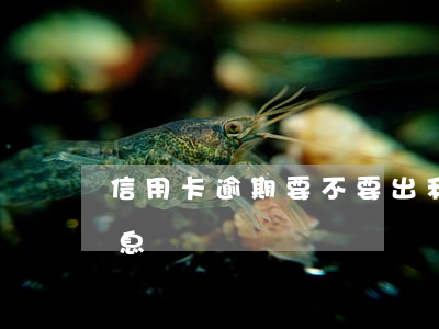 信用卡逾期要不要出利息(信用卡逾期會收利息嗎)