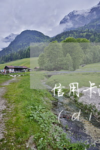 信用卡逾期要不要去銀行網(wǎng)點(diǎn)協(xié)商