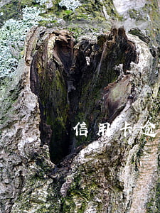信用卡逾期要不要收傳票