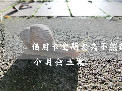 信用卡逾期要交不然就立案(欠信用卡逾期几个月会立案)