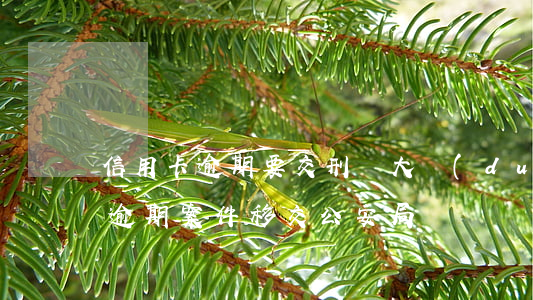 信用卡逾期要交刑偵大隊(duì)(信用卡逾期案件移交公安局)