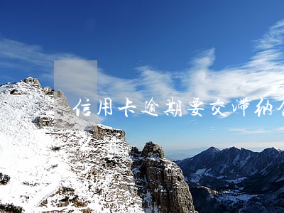 信用卡逾期要交滞纳金怎么交(逾期滞纳金怎么算)