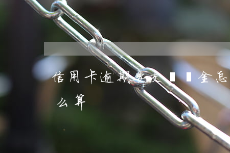 信用卡逾期要交滯納金怎么交(逾期滯納金怎么算)