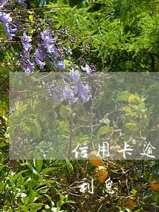 信用卡逾期要交罰款嗎 信用卡 逾期罰息 逾期利息