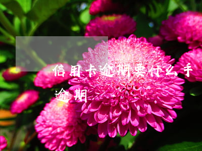 信用卡逾期要什么手續(xù)(欠信用卡錢逾期)