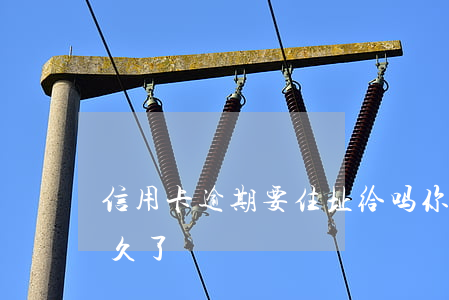 信用卡逾期要住址给吗(你们的信用卡逾期多久了)