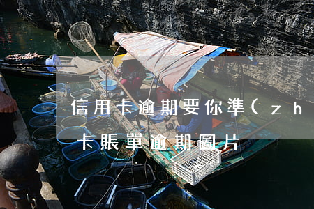信用卡逾期要你準(zhǔn)備照片(信用卡賬單逾期圖片)
