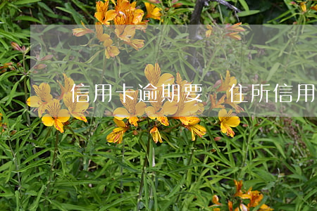 信用卡逾期要來住所 信用卡逾期要來住所報備