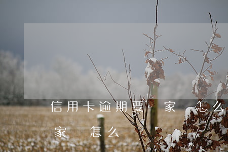 信用卡逾期要來家訪怎么辦(信用卡逾期要來家訪怎么辦)