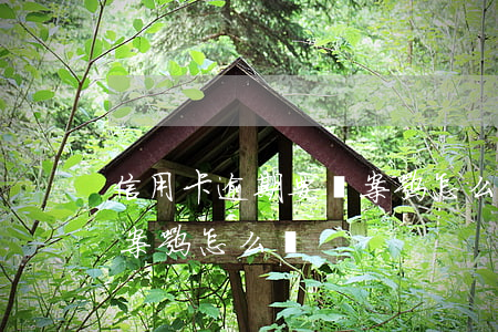 信用卡逾期要備案嘛怎么辦(信用卡逾期要備案嘛怎么辦)