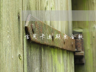 信用卡逾期要全款