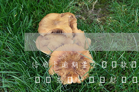 信用卡逾期要全額還款嗎(信用卡逾期要求全額還,先還一點會起訴嗎)