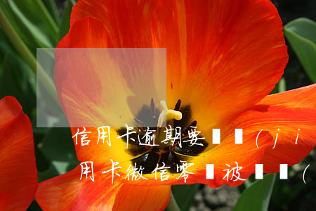 信用卡逾期要凍結(jié)微信多久(欠信用卡微信零錢被凍結(jié)下一步是什么)