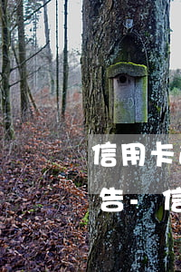信用卡逾期要分期要提交征信報(bào)告-信用卡逾期要分期要提交征信報(bào)告嗎