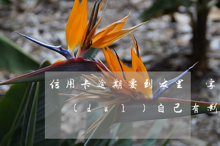 信用卡逾期要到家里簽字 家里人信用卡逾期對(duì)自己有影響嗎