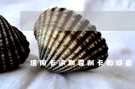 信用卡逾期要削卡(如何查詢信用卡逾期)