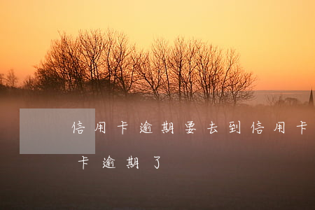 信用卡逾期要去到信用卡中心嗎(沒注意信用卡逾期了)