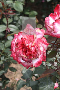 信用卡逾期要去哪里起訴(欠信用卡的錢一般在哪里起訴)