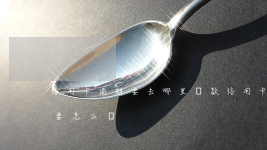 信用卡逾期要去哪里還款(信用卡逾期很久了要怎么還)