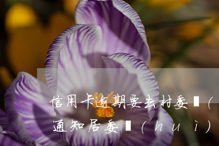 信用卡逾期要去村委會(huì)干嘛(銀行通知居委會(huì)信用卡逾期)