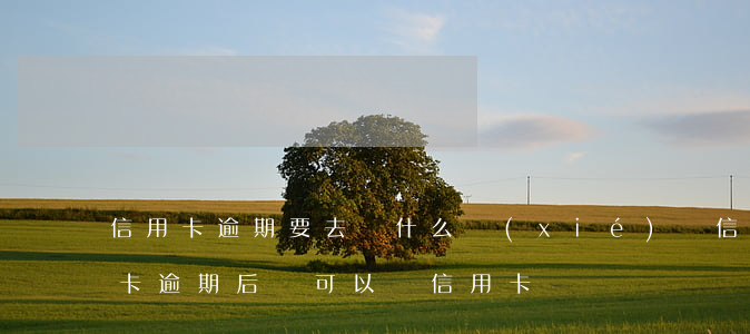 信用卡逾期要去簽什么協(xié)議(信用卡逾期后還可以辦信用卡嗎)