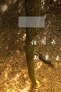 信用卡逾期要去辦卡銀行處理嗎-信用卡逾期要去辦卡銀行處理嗎要多久