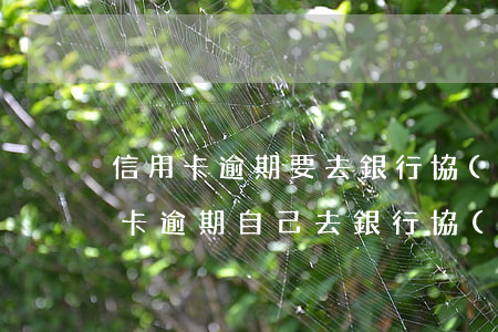 信用卡逾期要去銀行協(xié)商嗎(信用卡逾期自己去銀行協(xié)商)