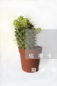 信用卡逾期要取消我的最低還款-信用卡逾期要取消我的最低還款怎么辦