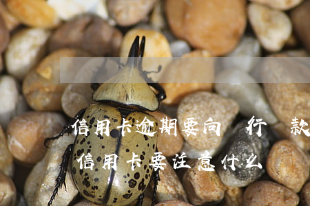 信用卡逾期要向銀行還款嗎(去銀行還逾期的信用卡要注意什么)