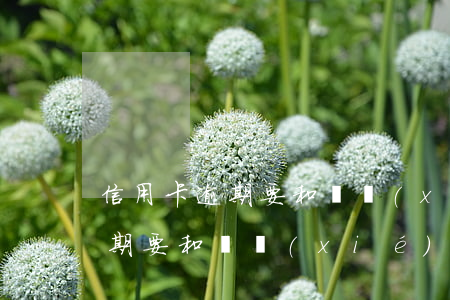信用卡逾期要和誰協(xié)商 信用卡逾期要和誰協(xié)商呢