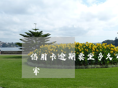信用卡逾期要坐多久牢(信用卡逾期要坐多久牢)