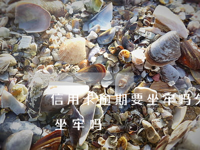 信用卡逾期要坐牢吗(欠信用卡逾期一年多会坐牢吗)