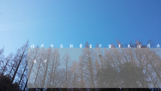 信用卡逾期要坐牢坐多久(信用卡逾期久了會坐牢嗎)