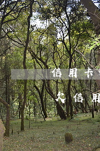 信用卡逾期要多久可以協(xié)商還款(欠信用卡逾期半年還能不能協(xié)商)