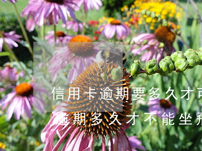 信用卡逾期要多久才可以坐飛機(jī)-逾期多久才不能坐飛機(jī)