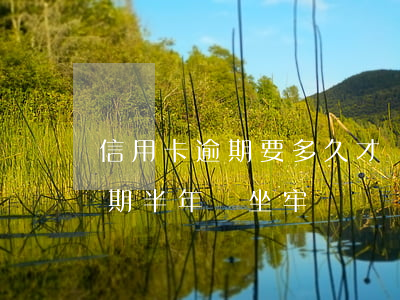 信用卡逾期要多久才會坐牢(幾萬的信用卡逾期半年會坐牢嗎?)