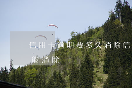 信用卡逾期要多久消除(信用卡逾期要幾年才能消除)