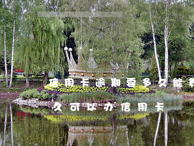 信用卡逾期要多久能养好(信用卡逾期之后多久可以办信用卡)
