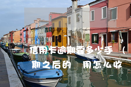 信用卡逾期要多少手續(xù)費(信用卡逾期之后的費用怎么收)