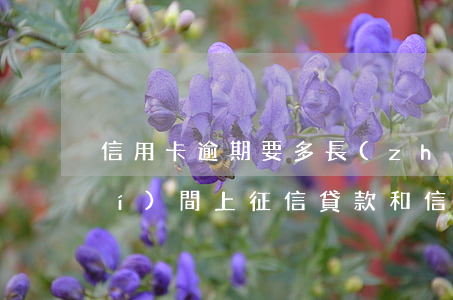信用卡逾期要多長(zhǎng)時(shí)間上征信 貸款和信用卡逾期多久會(huì)上征信