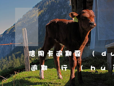 信用卡逾期要對(duì)賬怎么辦(信用卡逾期銀行會(huì)怎么處理,流程怎么樣)