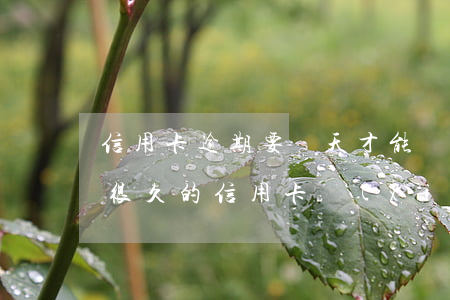 信用卡逾期要幾天才能協(xié)商(逾期很久的信用卡協(xié)商)