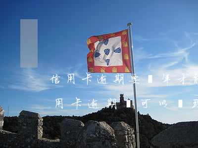 信用卡逾期要幾年才能辦新卡 如果有一張信用卡逾期,還可以辦理新卡嗎?