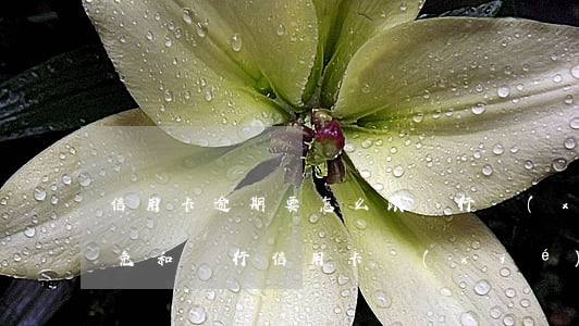 信用卡逾期要怎么跟銀行協(xié)商減免(和銀行信用卡協(xié)商成功可以減免違約金嗎)