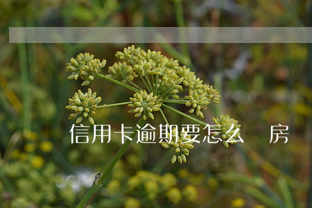 信用卡逾期要怎么還房貸