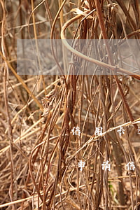 信用卡逾期要我一次性还清(严重逾期还清后申请信用卡)