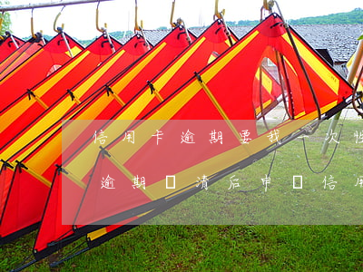 信用卡逾期要我一次性還清(嚴(yán)重逾期還清后申請信用卡)