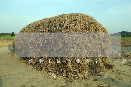 信用卡逾期要我全額還款(信用卡逾期要求全額還,先還一點會起訴嗎)